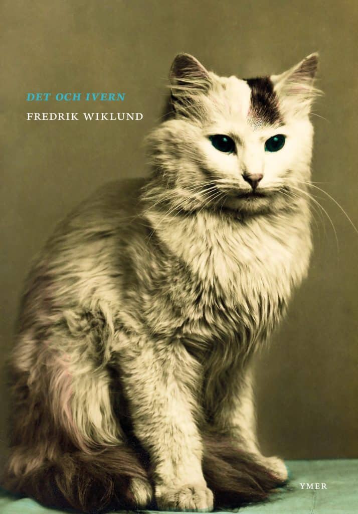 Fredrik Wiklund : Det och ivern