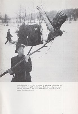 Fredriksson, Carl-Erik med flera : Allt om kråkskytte