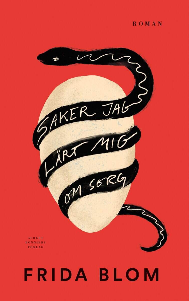 Frida Blom : Saker jag lärt mig om sorg