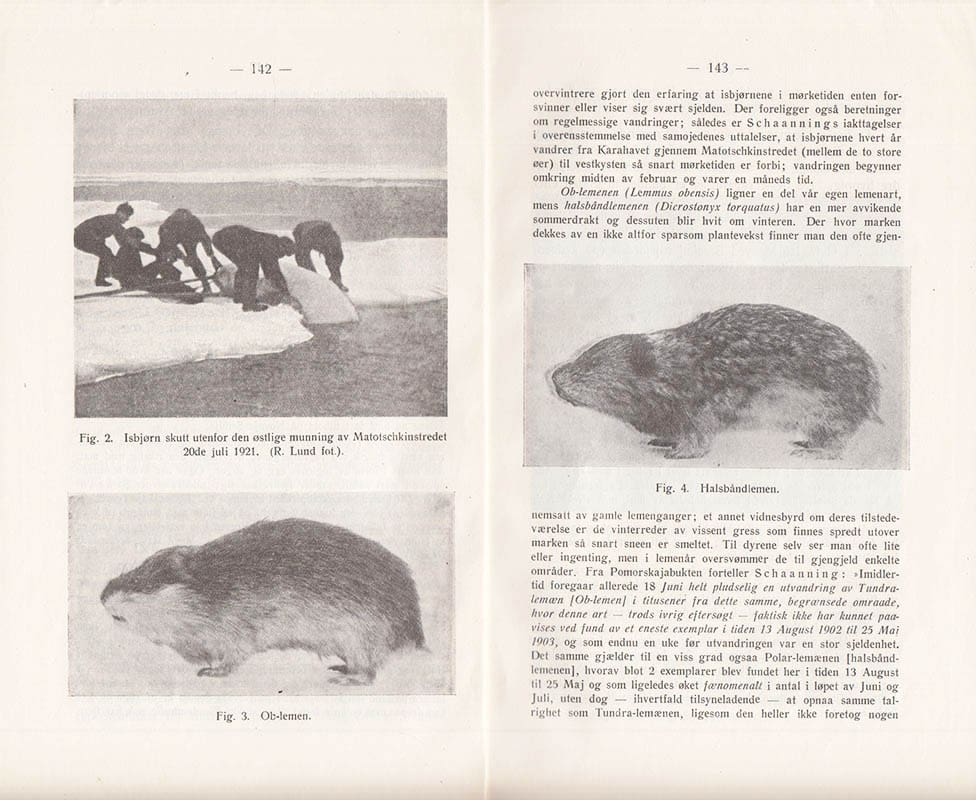 Fridthjof Økland : Novaja-Semljas land- og ferskvannsfauna