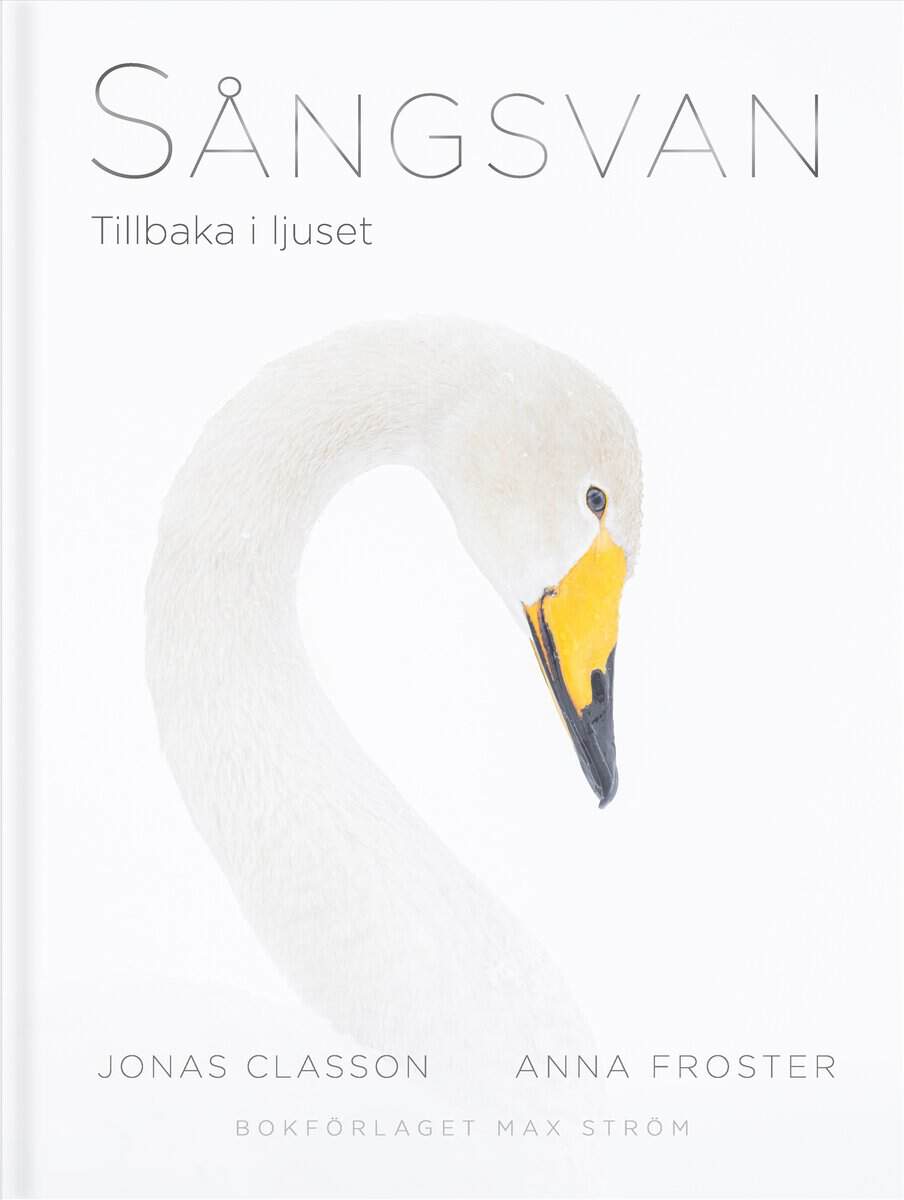 Froster, Anna ; Classon, Jonas : Sångsvan