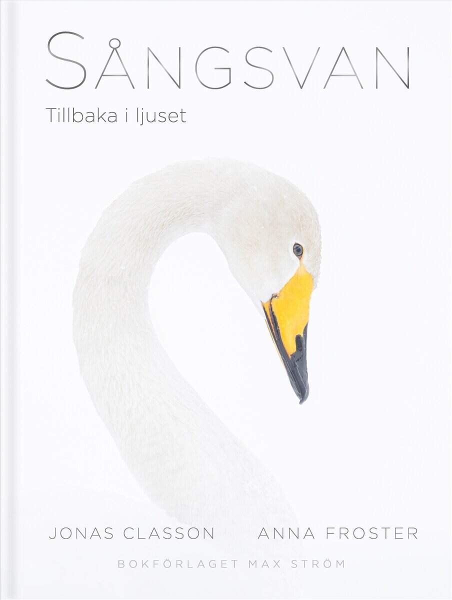 Froster, Anna ; Classon, Jonas : Sångsvan