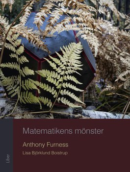 Furness, Anthony ; Björklund Boistrop, Lisa : Matematikens mönster