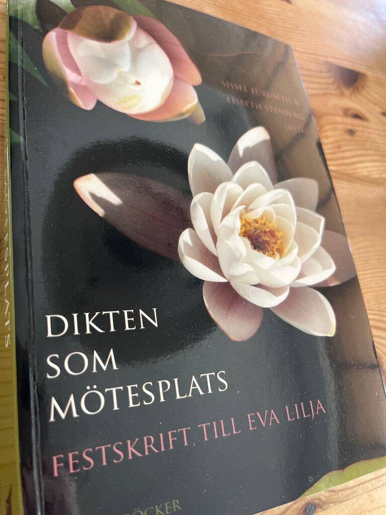 Furuseth, Sissel ; Stenberg, Lisbeth ; Lilja, Eva : Dikten som mötesplats