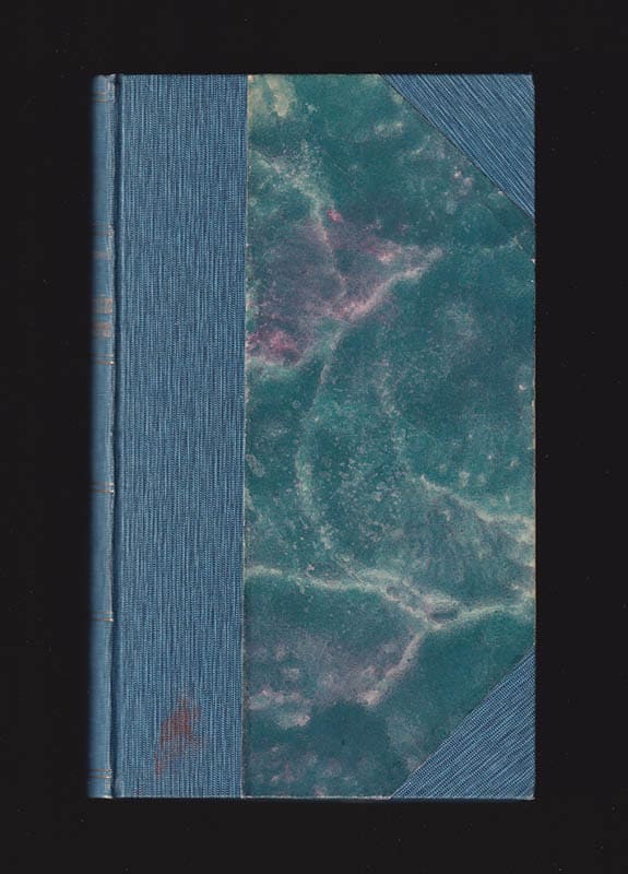 G. Gerschouni : En revolutionärs anteckningar