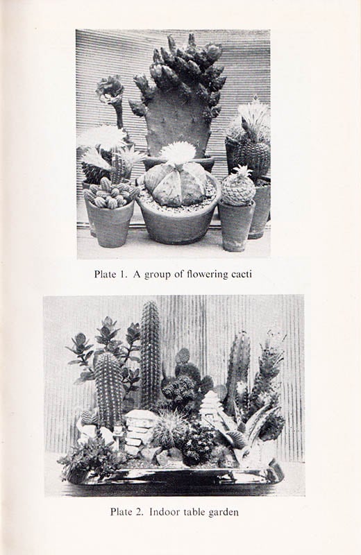 G. Gilbert Green : Cacti for Everyone