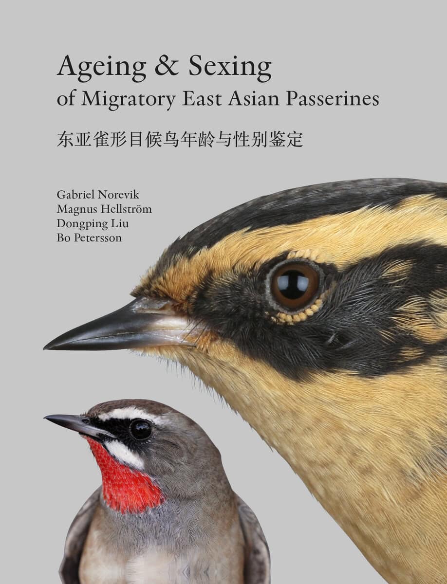 Norevik, Gabriel ; Hellström, Magnus ; Liu, Dongping ; Petersson, Bo : Ageing & sexing of migratory East Asian passerines