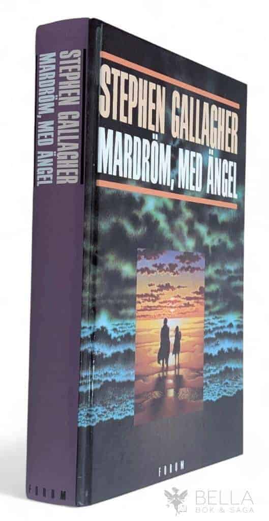 Gallagher, Stephen ; Järnebrand, Jan : Mardröm, med ängel