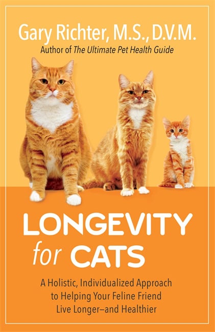 Gary Richter : Longevity for Cats
