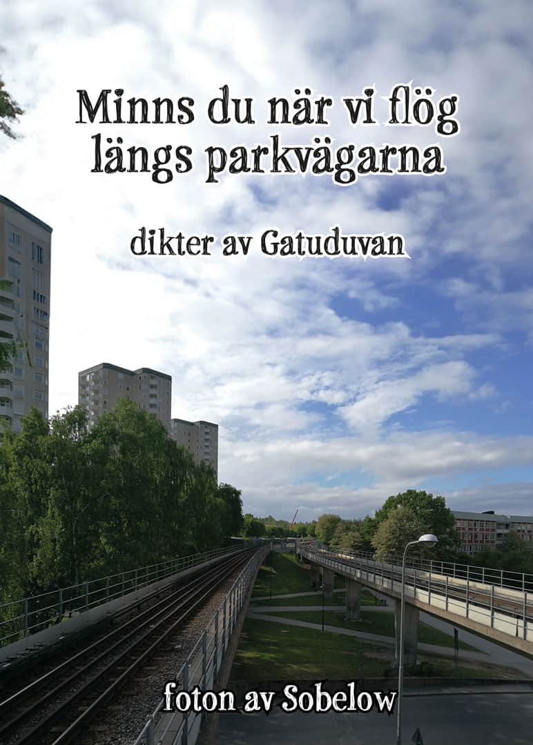Gatuduvan : Minns du när vi flög längs parkvägarna