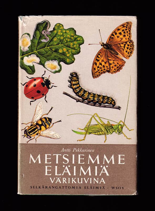 Georg Mandahl-Barth : Metsiemme eläimiä värikuvina. Selkärangattomia eläimiä