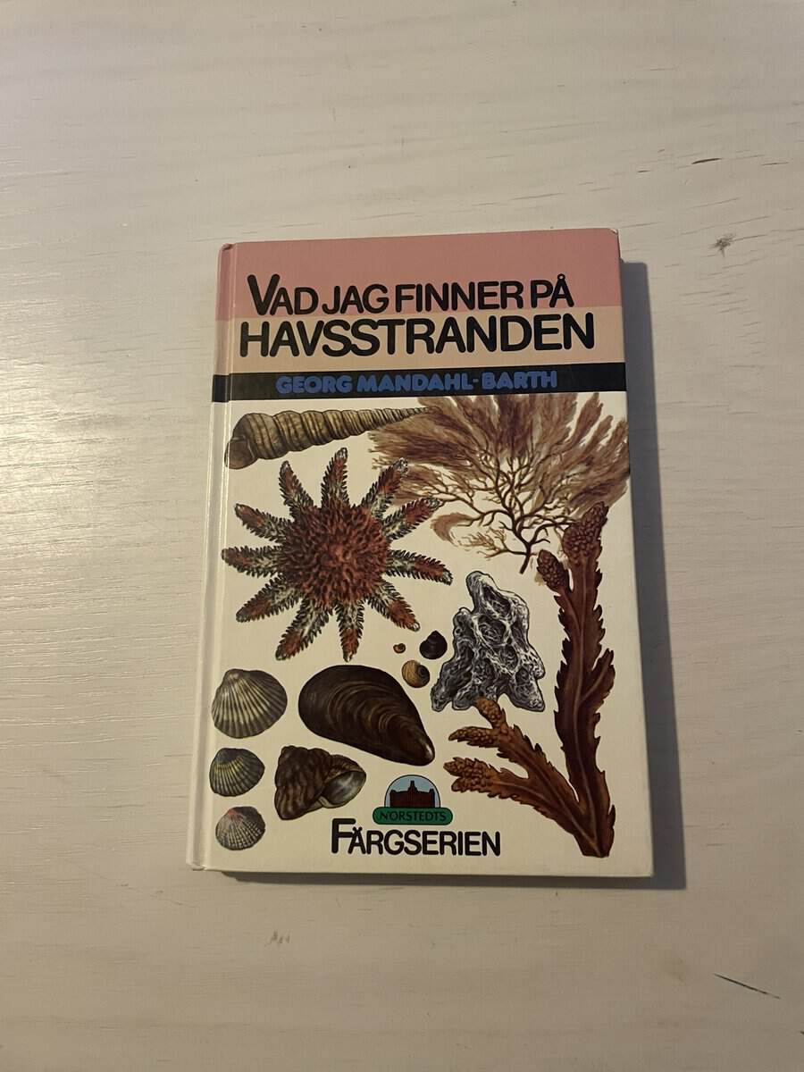 Georg Mandahl-Barth : Vad jag finner på havsstranden