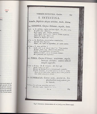 George H. M, Lawrence : Huntia