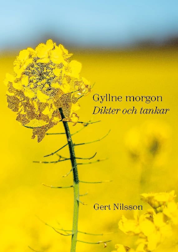 Gert Nilsson : Gyllne morgon