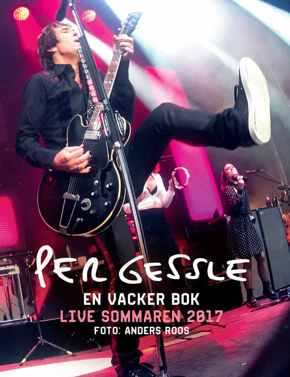 Gessle, Per ; Roos, Anders : En vacker bok