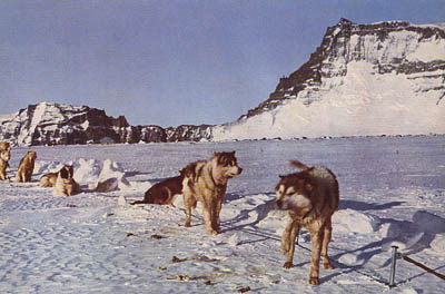 Giæver, John (1901-1970) ; Schytt, Valter (1919-1985) : Antarktisboken. Med Norsel till Maudheim och Antarktis. Den norsk-brittisk-svenska vetenskapliga expeditionen till Antarktis 1949-1952
