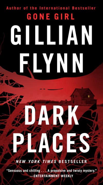 Gillian Flynn : Dark Places
