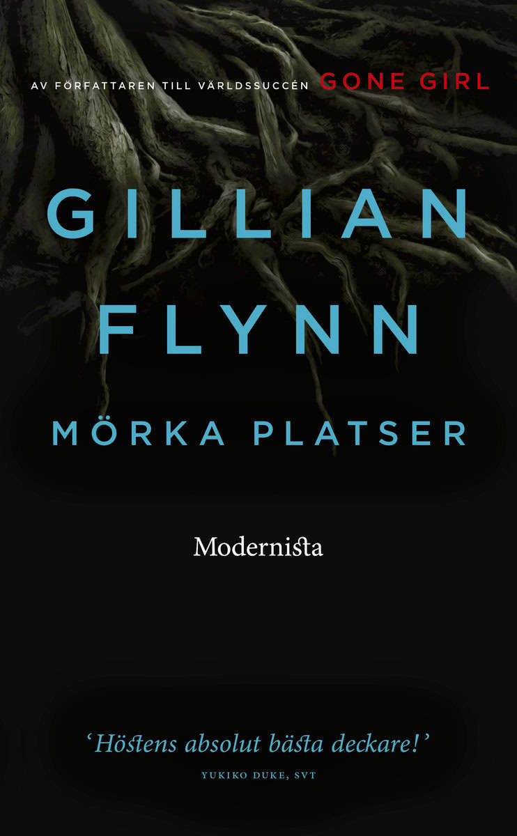 Gillian Flynn : Mörka platser
