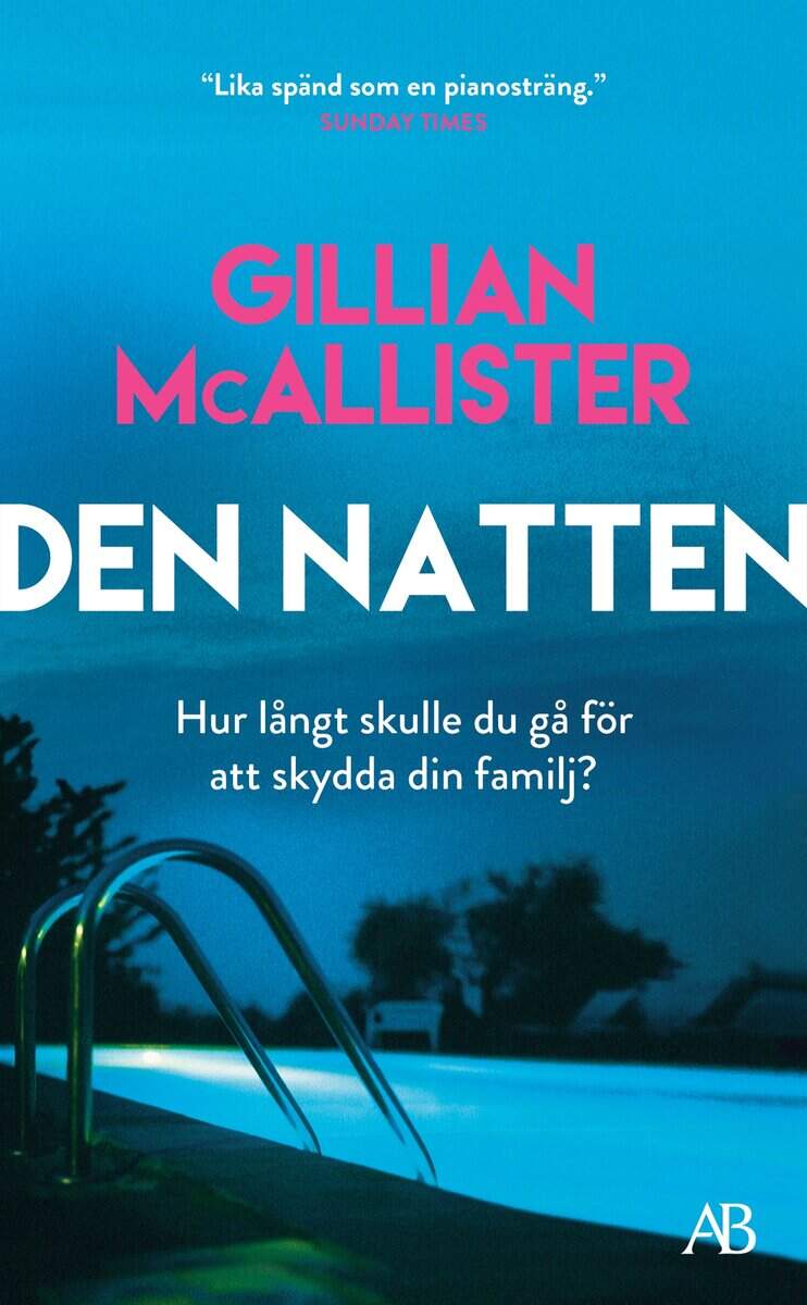 Gillian McAllister : Den natten
