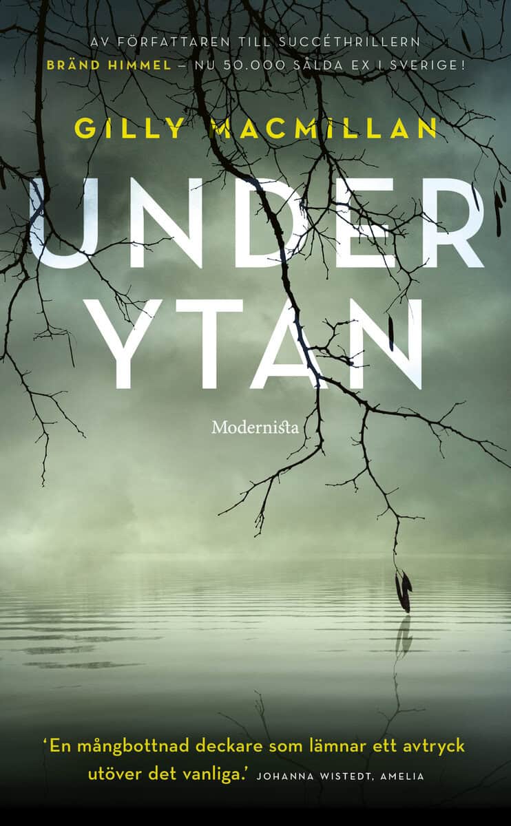 Gilly Macmillan : Under ytan