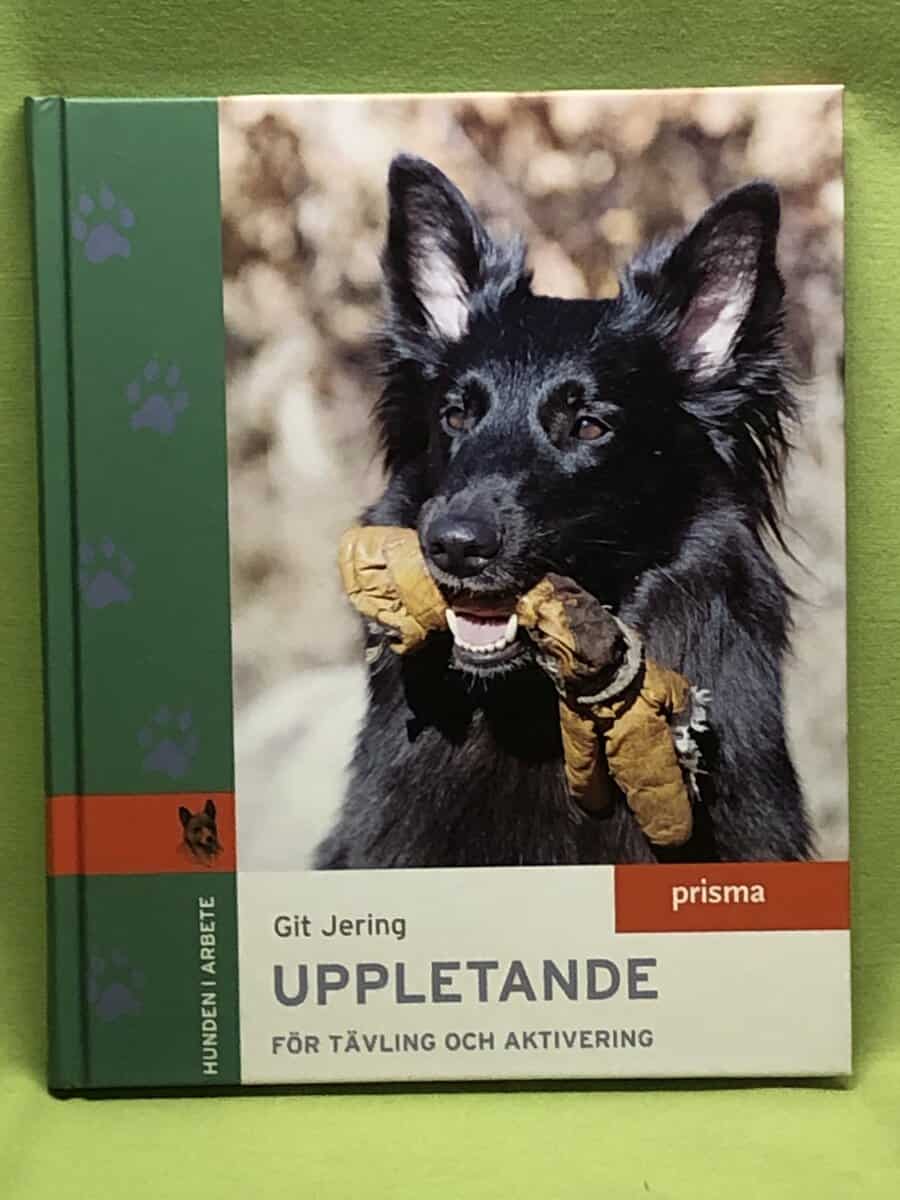 Git Jering : Uppletande för tävling och aktivering