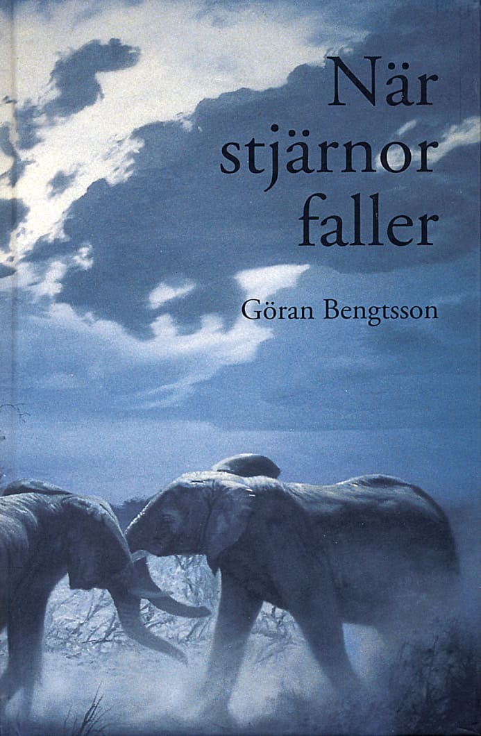 Göran Bengtsson : När stjärnor faller