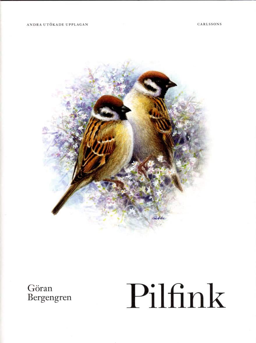 Göran Bergengren : Pilfink