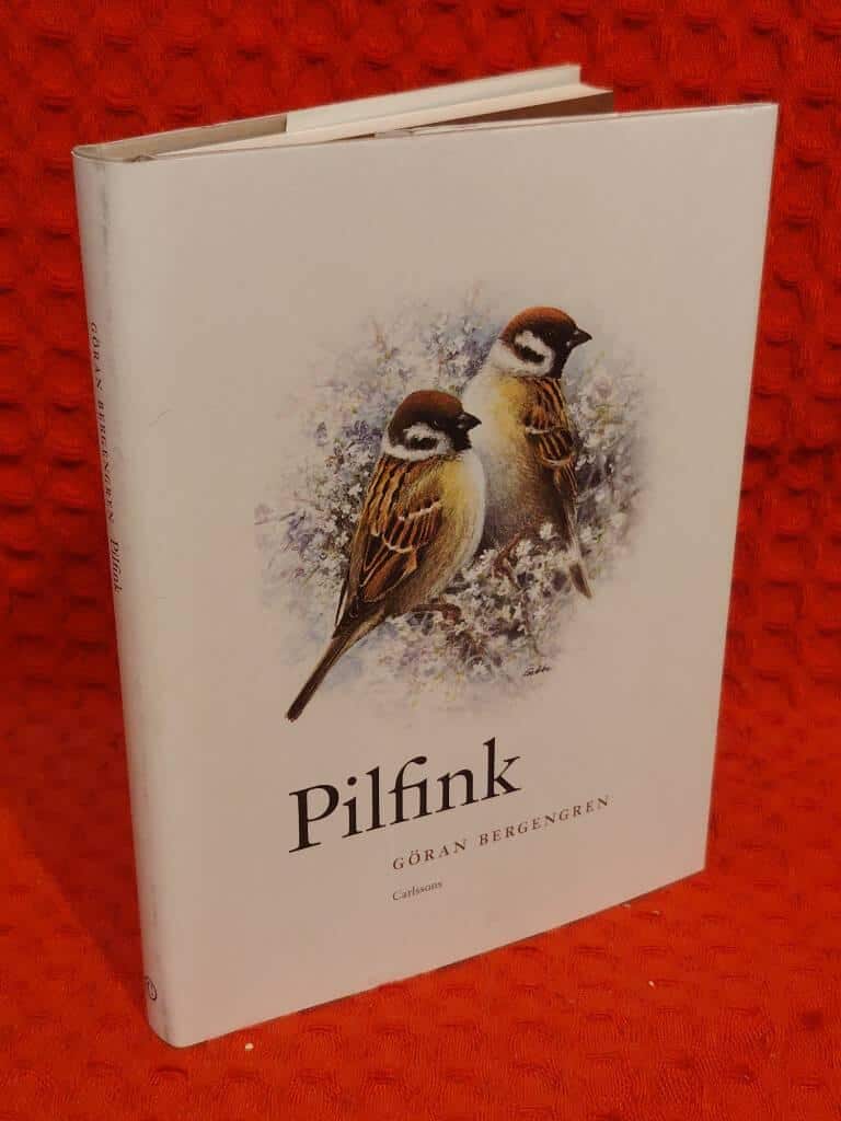 Göran Bergengren : Pilfink