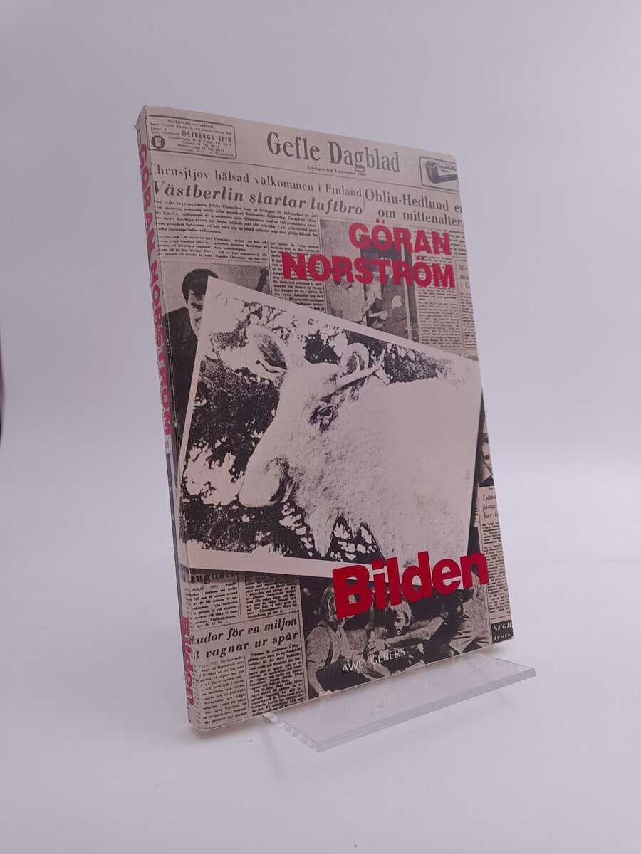 Göran Norström : Bilden