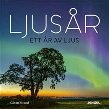 Göran Strand : Ljusår : ett år av ljus