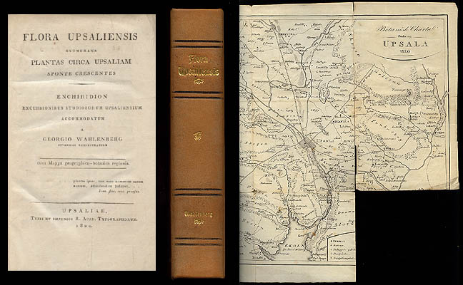 Göran Wahlenberg : Flora Upsaliensis enumerans plantas circa Upsaliam sponte crescentes. Enchiridion excursionibus studiosorum Upsaliensium accommodatum