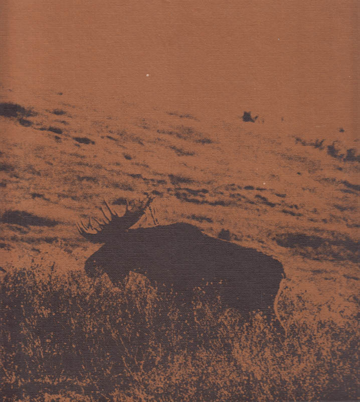 Gösta Tysk : Vildmark i norr