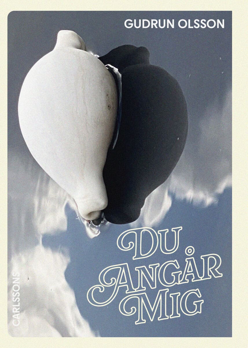 Gudrun Olsson : Du angår mig
