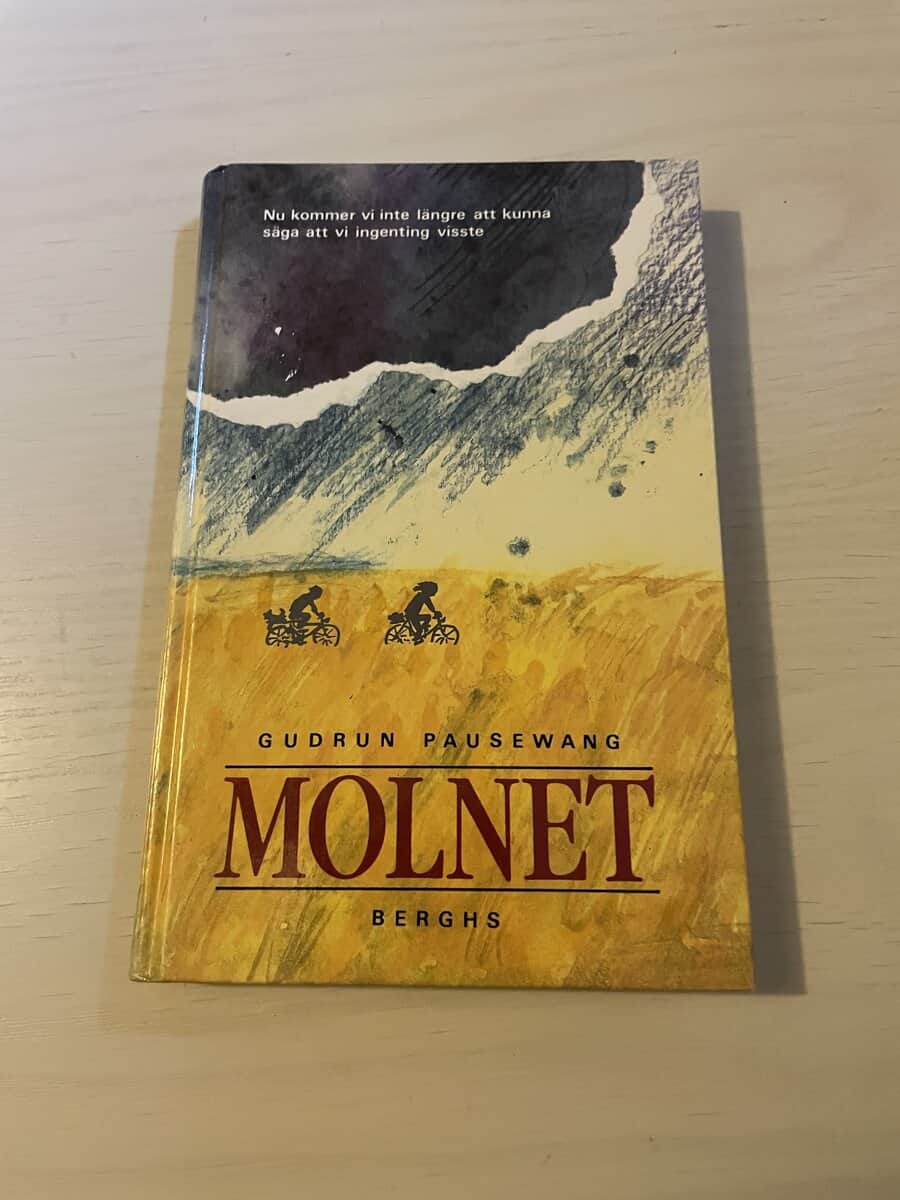 Gudrun Pausewang : Molnet