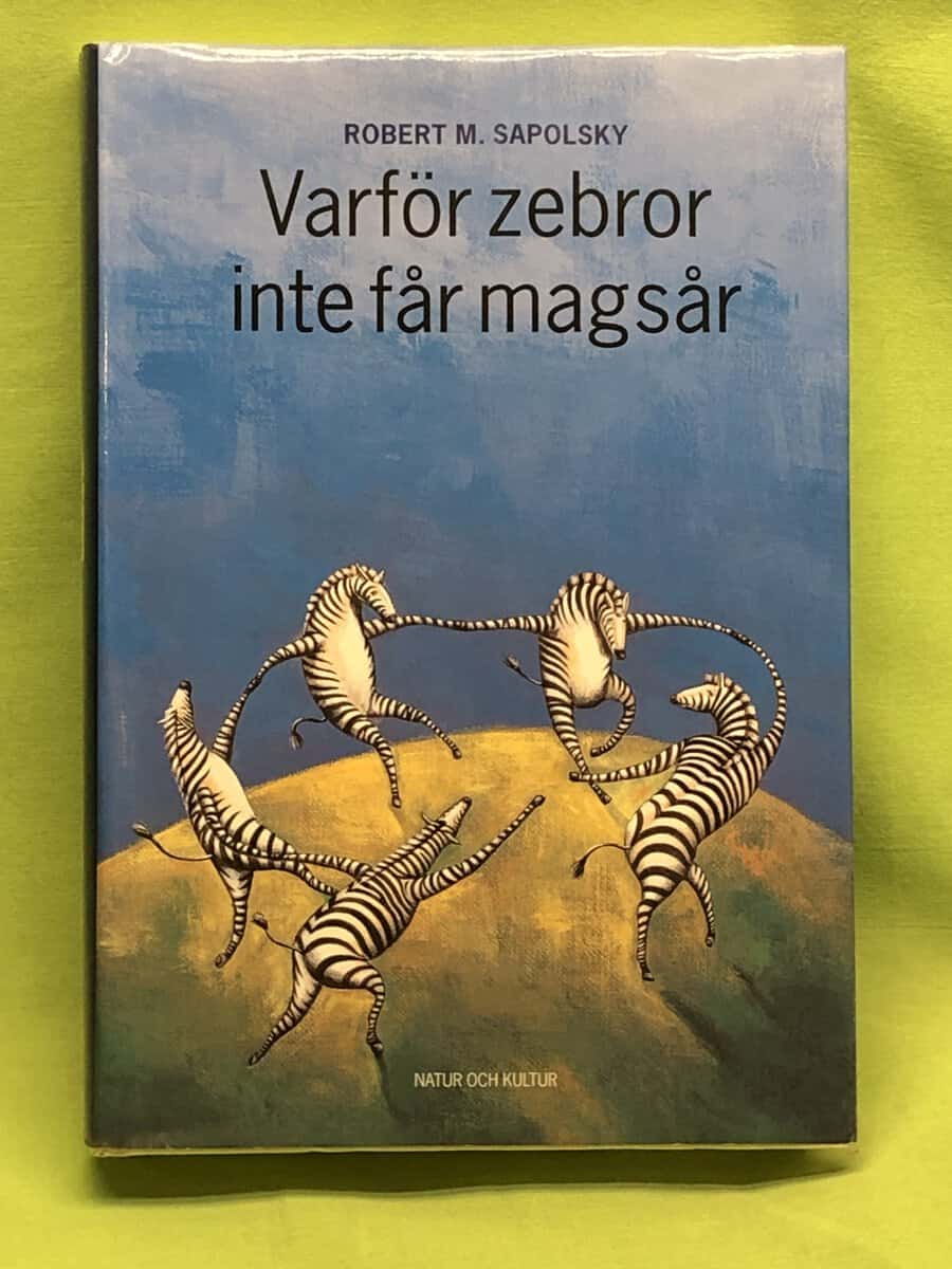 Gullög Nordquist Katarina Ek-Nilsson : Stort smått fint och fult