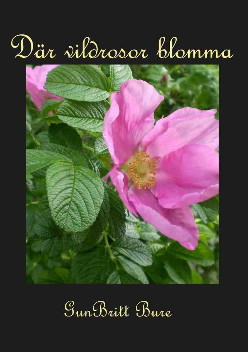 GunBritt Bure : Där vildrosor blomma
