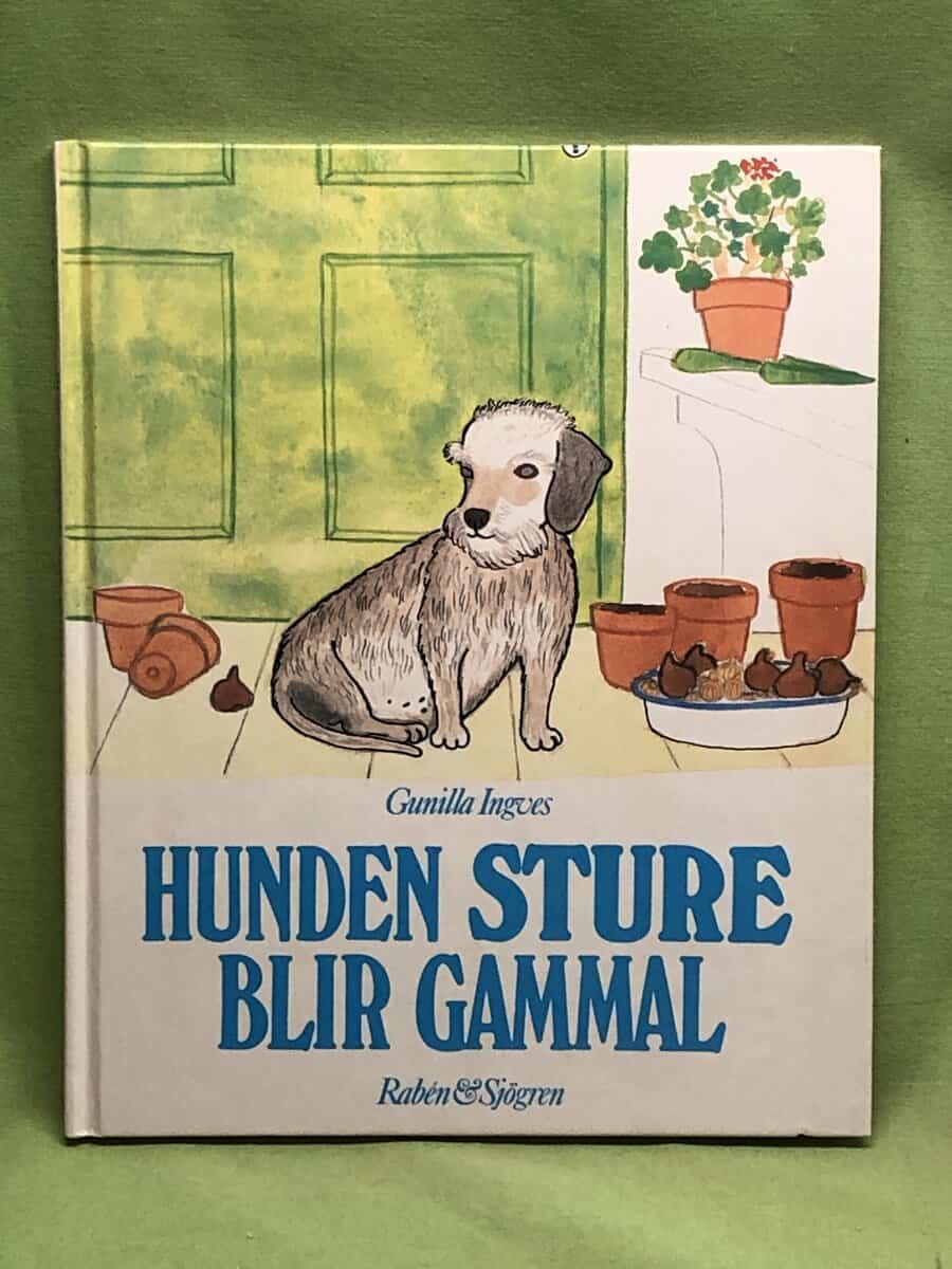 Gunilla Ingves : Hunden Sture blir gammal