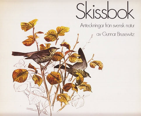 Gunnar Brusewitz : Skissbok