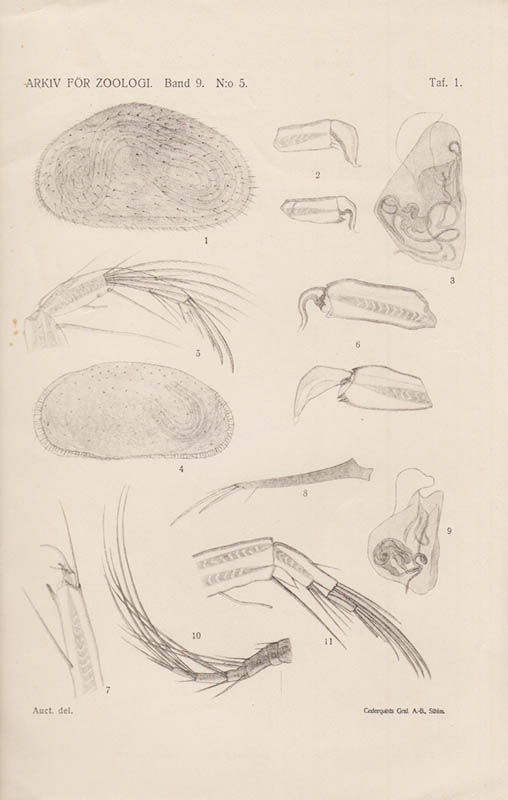 Gunnar Alm : Beiträge zur Kenntnis der nördlichen und arktischen Ostracodenfauna. Mit 1 Tafel und 8 Figuren im texten