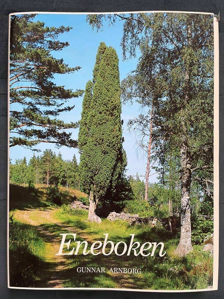 Gunnar Arnborg : Eneboken