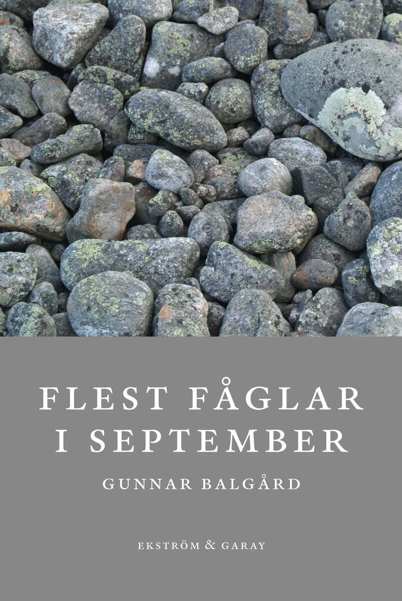 Gunnar Balgård : Flest fåglar i september