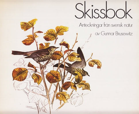 Gunnar Brusewitz : Skissbok