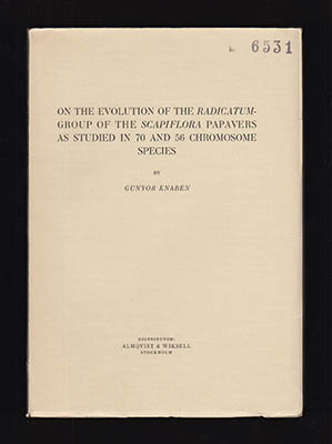 Gunvor Knaben : On the Evolution of the Radicatum-Group of the Scapiflora Papavers as Studied in 70 and 56 Chromosome Species. Part A. Cytotaxanonomical aspects