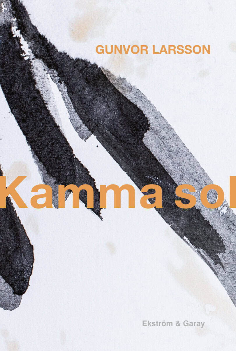 Gunvor Larsson : Kamma sol