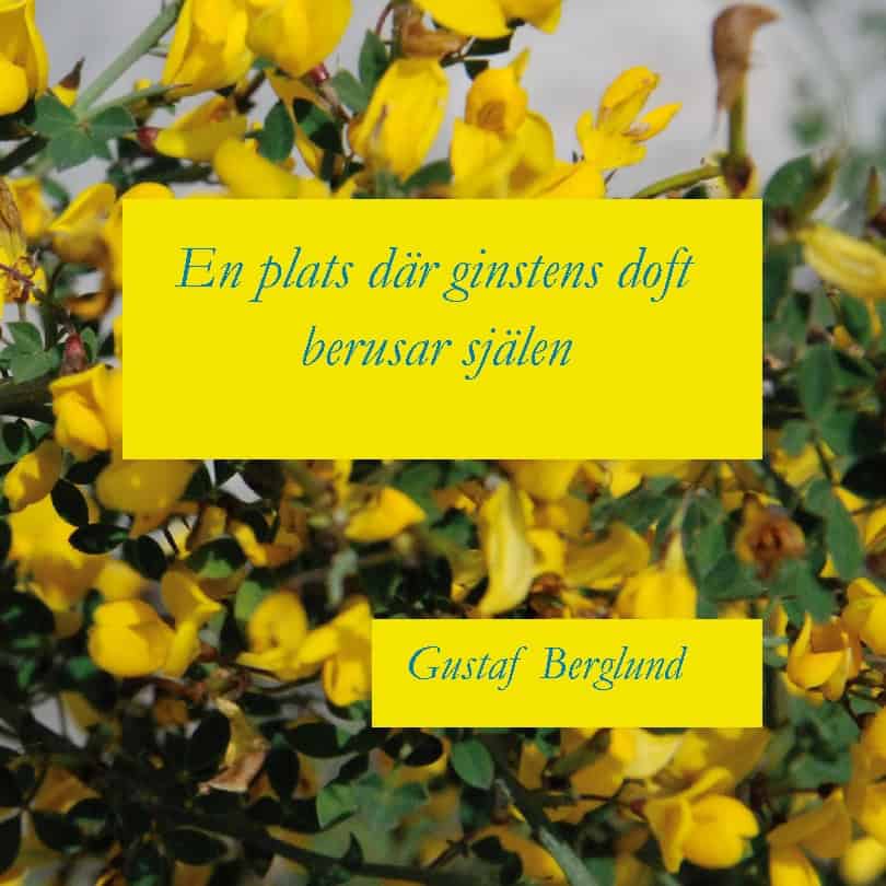 Gustaf Berglund : En plats där ginstens doft berusar själen : en sonettkrans