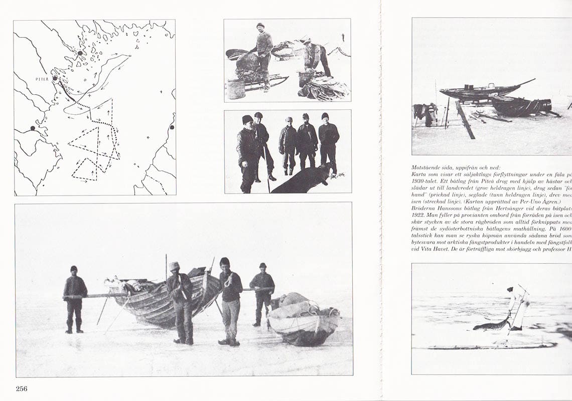 Gustafsson, Peter ; Bonns, Bertil ; Broadbent, Noel ; Sjöberg, Rabbe (1941-2024) : Sälfolk