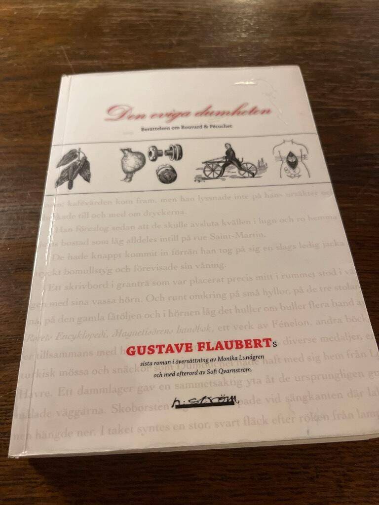 Gustave Flaubert : Den eviga dumheten
