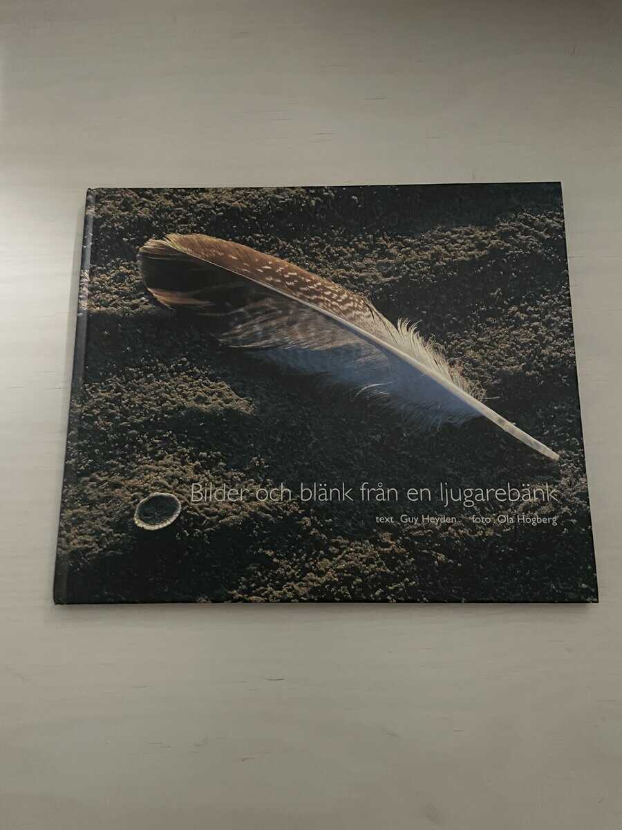 Guy Heyden : Bilder och blänk från en ljugarebänk