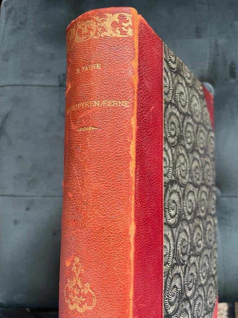 H Taine : Rejse i Pyrenæerne. Med omtrent 350 Illustrationer af Gustave Doré