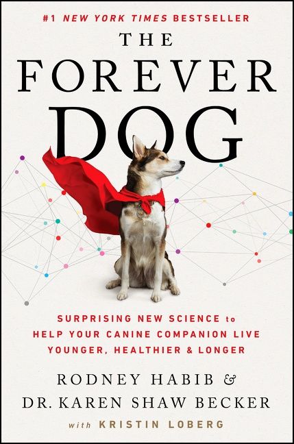 Habib, Rodney ; Becker, Karen Shaw : The forever dog